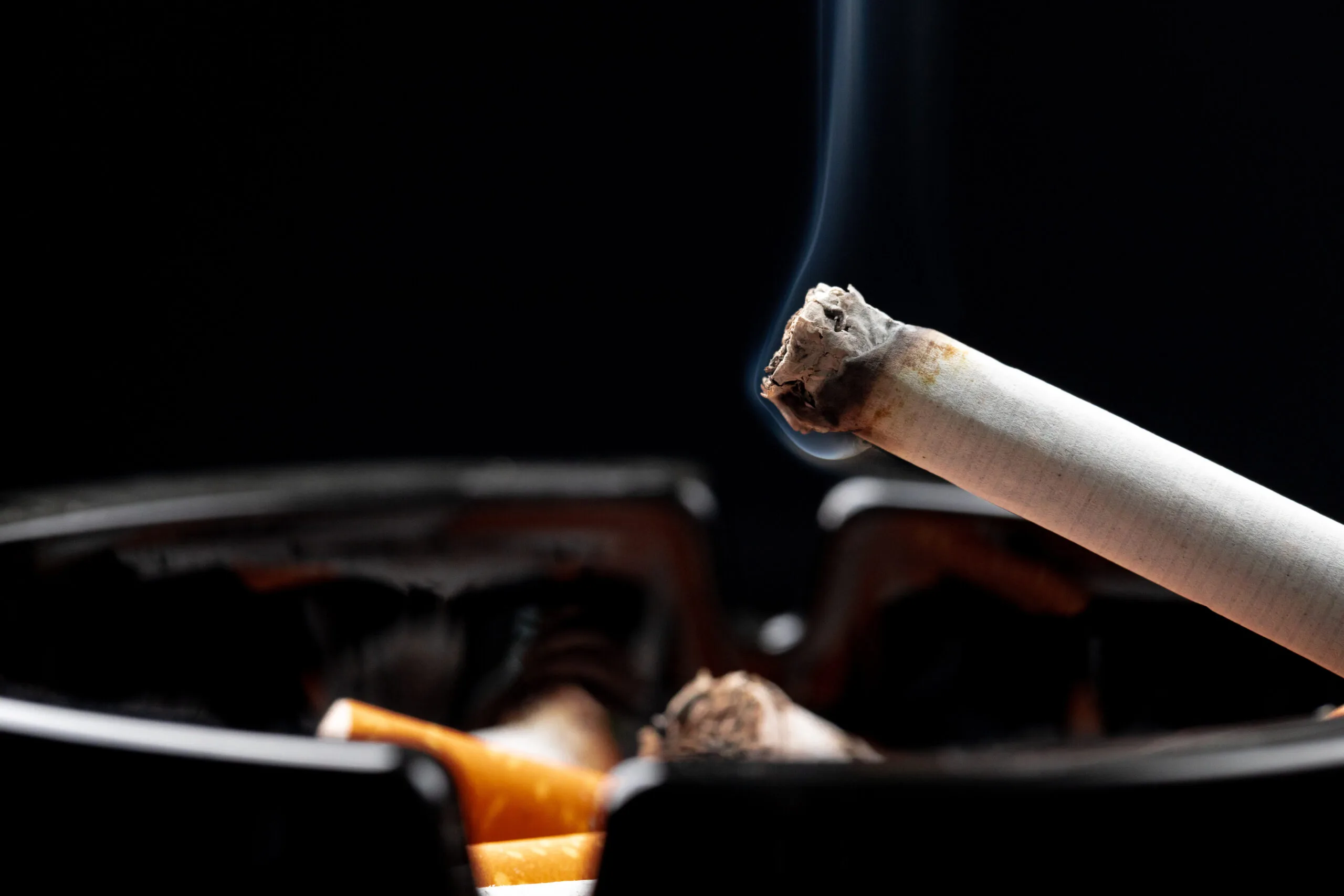 cigarette waste art gallery Seven Incredible Cigarette Art Pieces Portraying People and Animals
