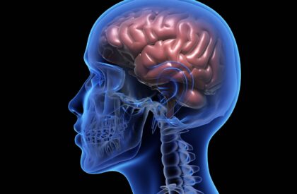 Human brain over black background. 3D illustration