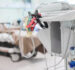 Renalyx Launches India’s First AI-Powered Dialysis Machine – A Big Step for Affordable Renal Care