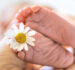 Tamil Nadu to Launch Siddha-Based Fertility Clinic: A Blend of Tradition and Modern Care