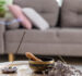 Are Incense Sticks and Tadka Damaging Your Lungs? Doctors Warn About Hidden Cancer Risks