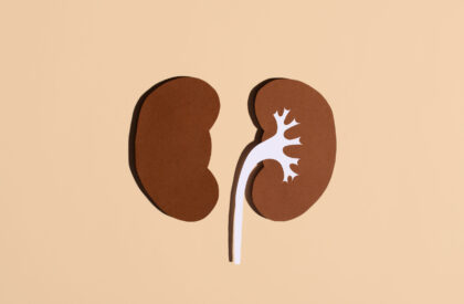 Paper kidneys on a beige background. Kidney and healthy pelvis. World Kidney Day.