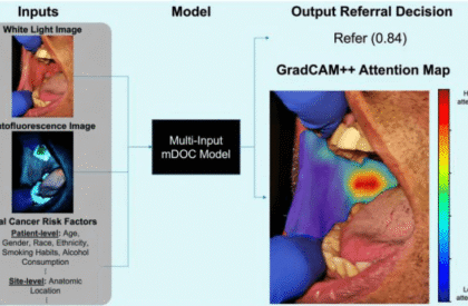 Screenshot 2025-10-17 094629