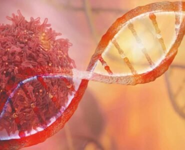 WhatsApp Image 2026-02-04 at 2.39.50 PM