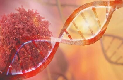 WhatsApp Image 2026-02-04 at 2.39.50 PM