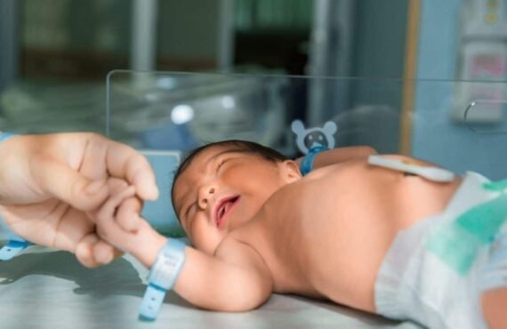 WhatsApp Image 2026-02-04 at 2.51.37 PM