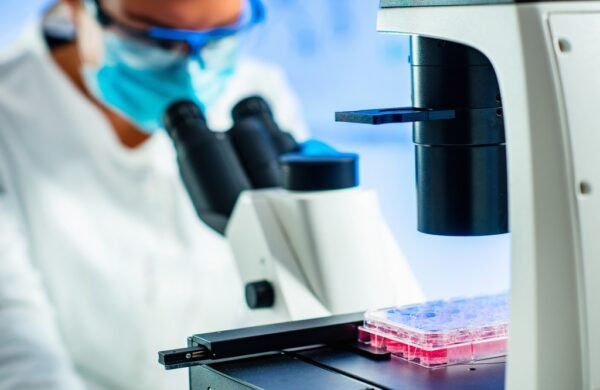 WhatsApp Image 2026-03-16 at 4.51.24 PM